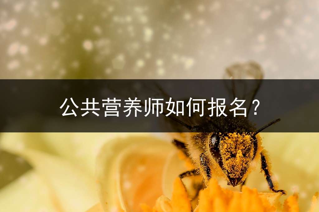 公共营养师如何报名？