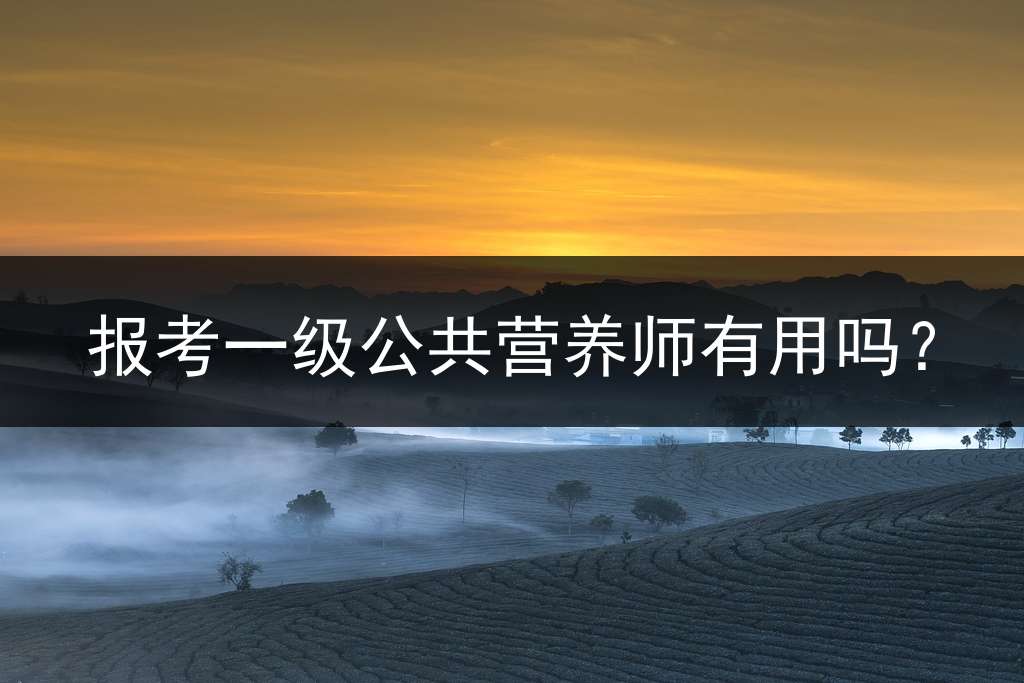 报考一级公共营养师有用吗？