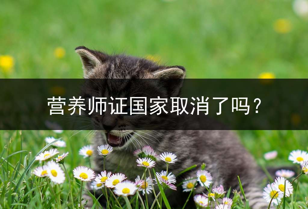 营养师证国家取消了吗？
