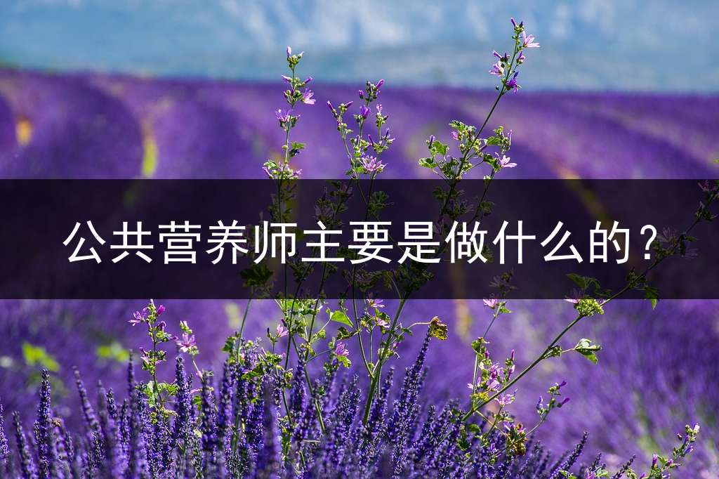 公共营养师主要是做什么的？