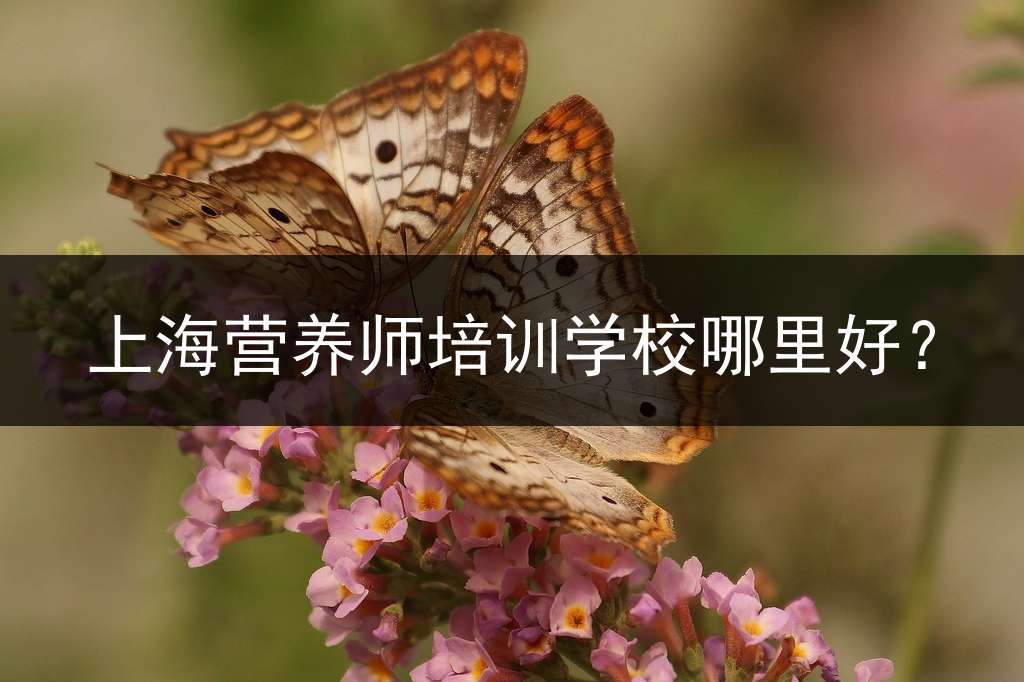 上海营养师培训学校哪里好？