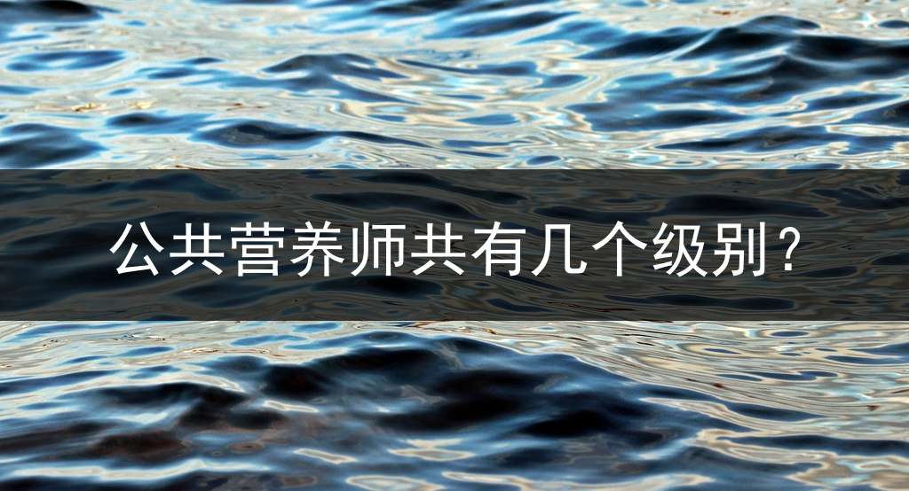 公共营养师共有几个级别？