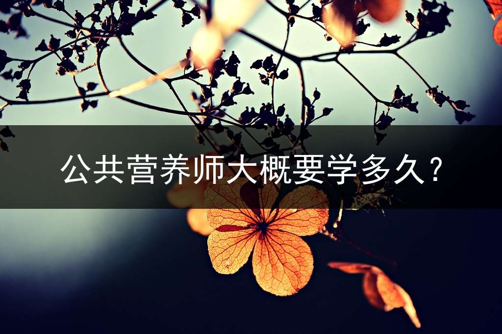公共营养师大概要学多久？