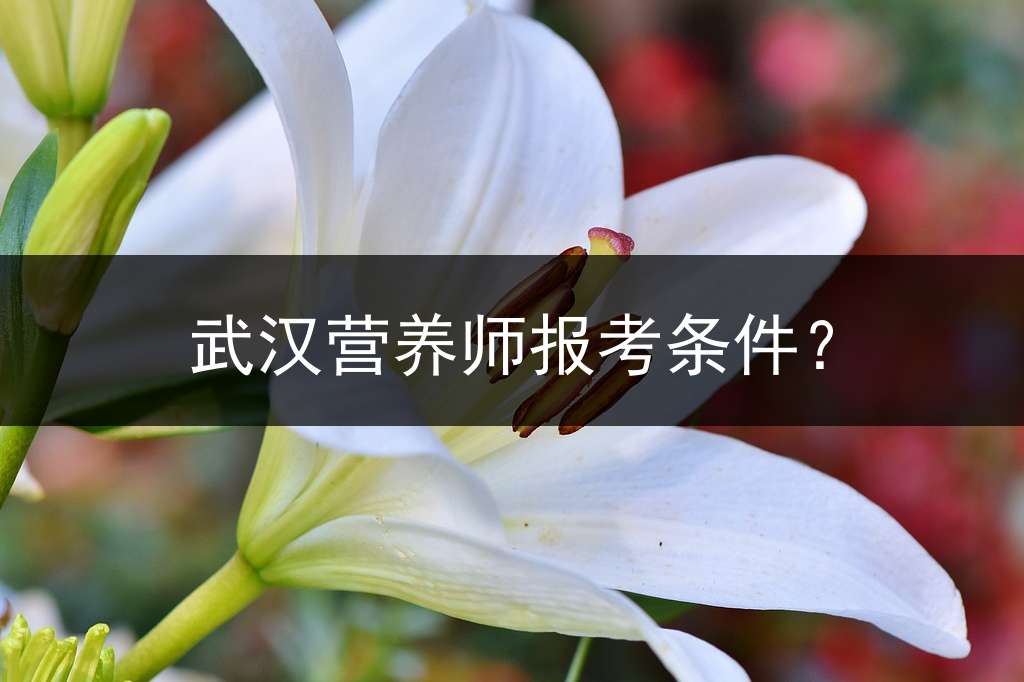 武汉营养师报考条件？