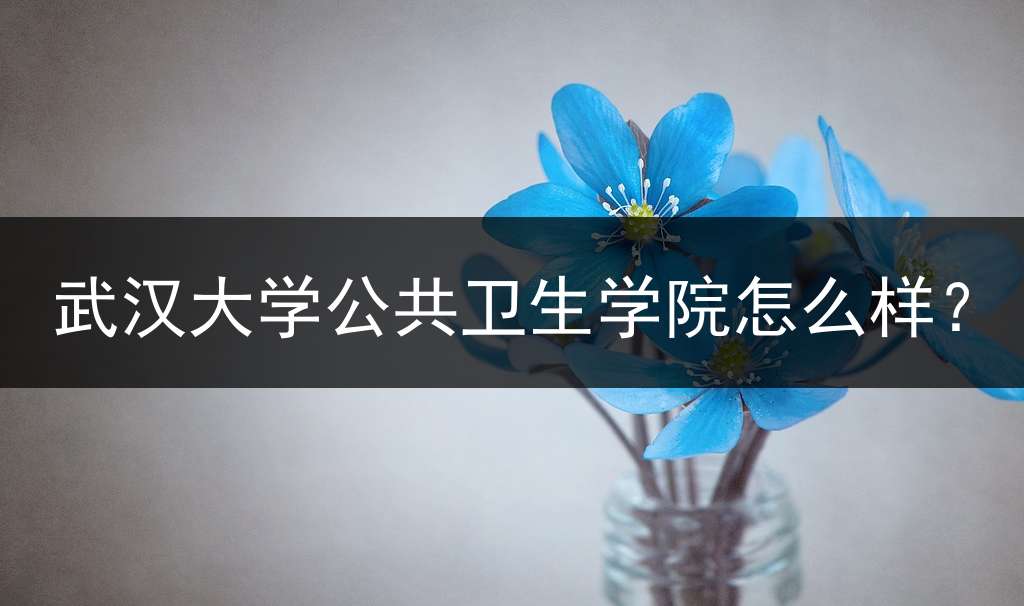 武汉大学公共卫生学院怎么样？
