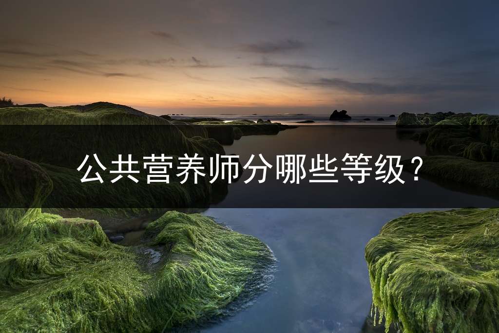 公共营养师分哪些等级？