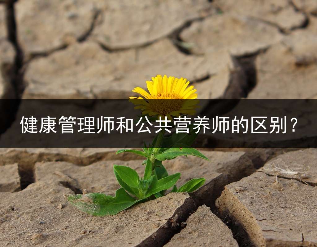 健康管理师和公共营养师的区别？