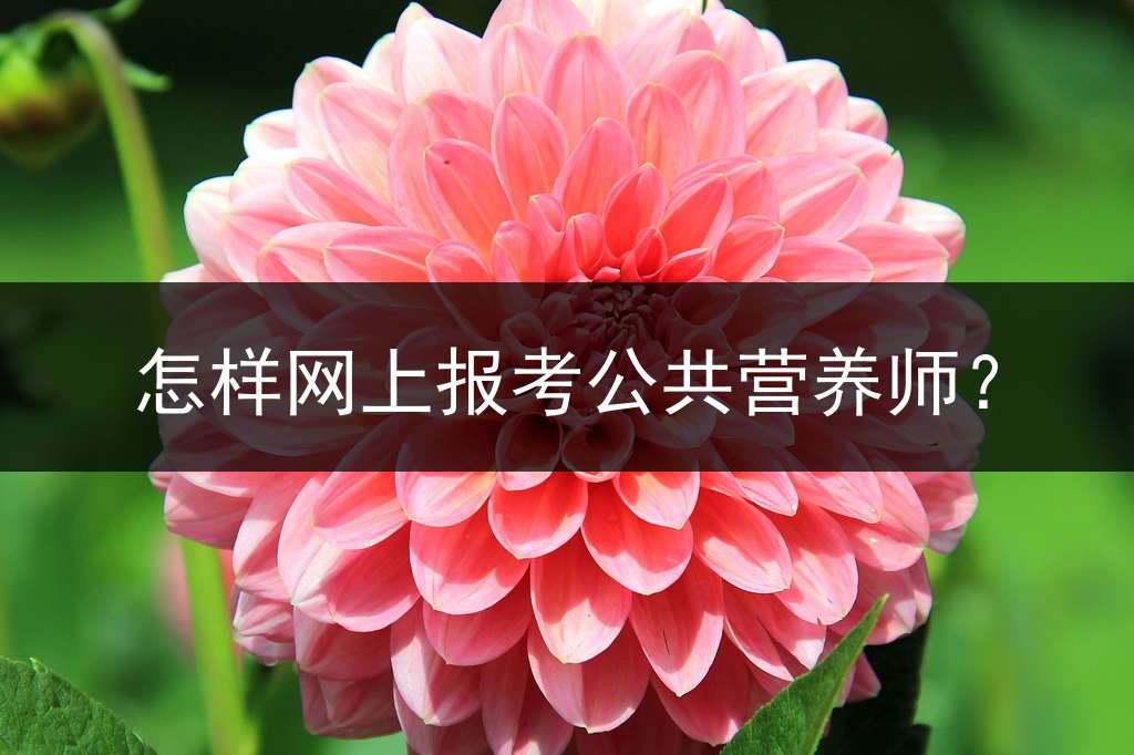 怎样网上报考公共营养师？
