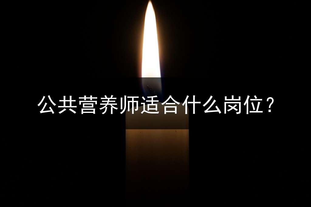 公共营养师适合什么岗位？