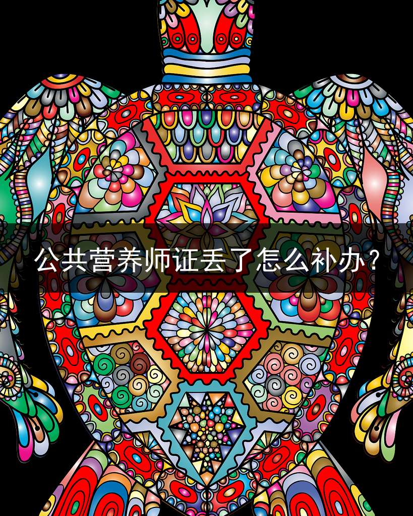 公共营养师证丢了怎么补办？