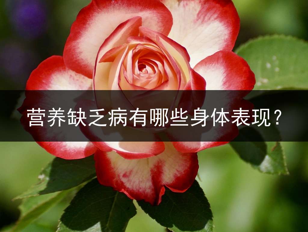 营养缺乏病有哪些身体表现？