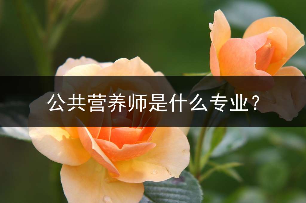 公共营养师是什么专业？