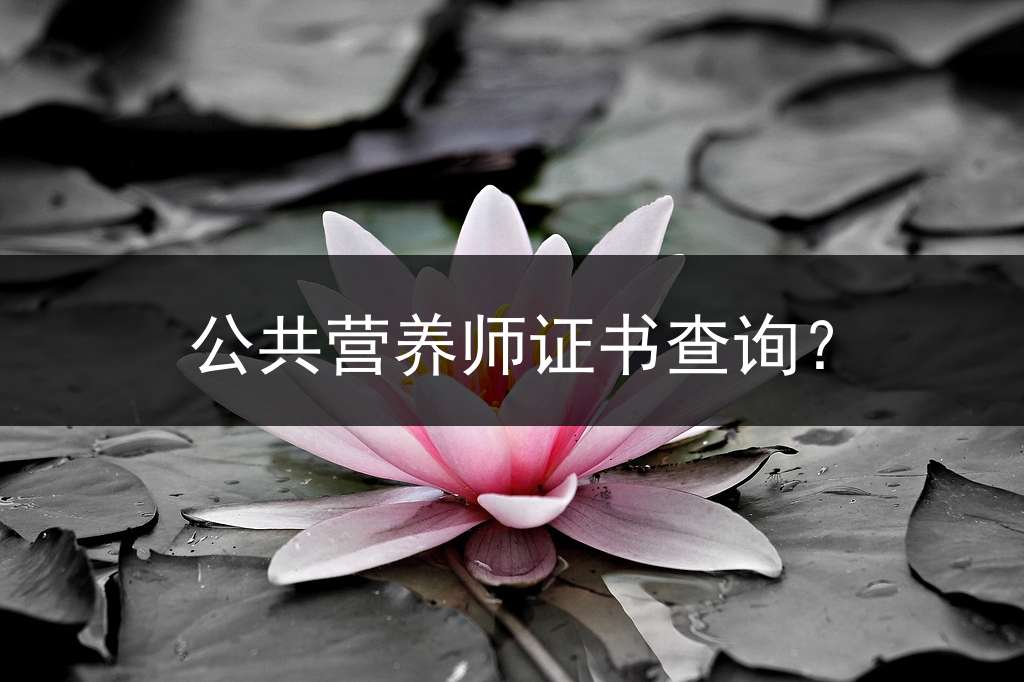 公共营养师证书查询？