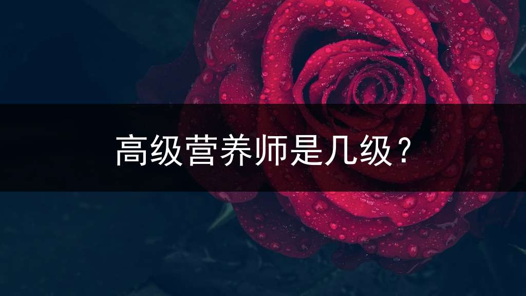 高级营养师是几级？