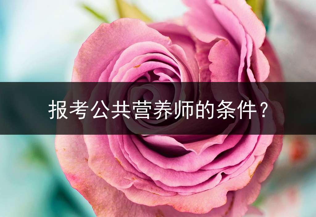 报考公共营养师的条件？