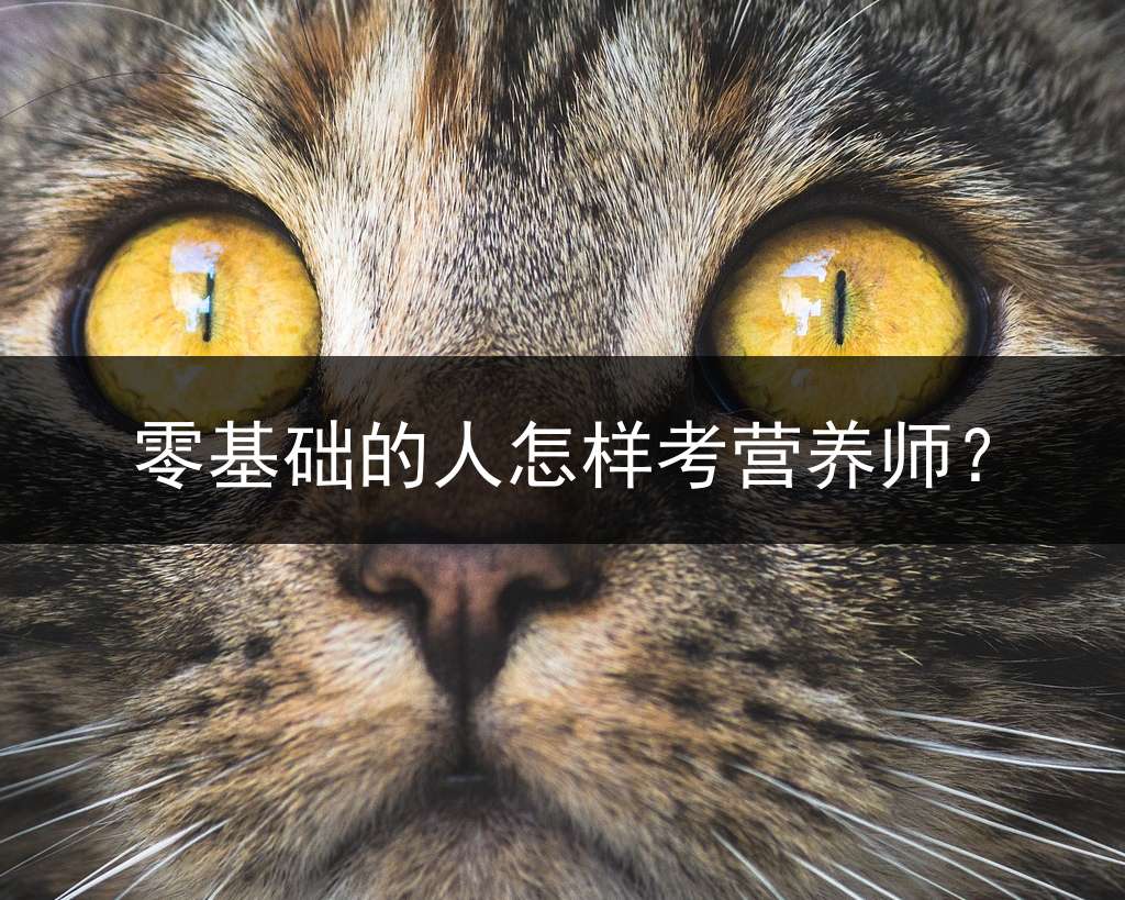 零基础的人怎样考营养师？