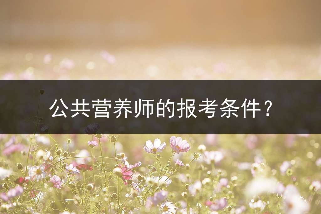 公共营养师的报考条件？