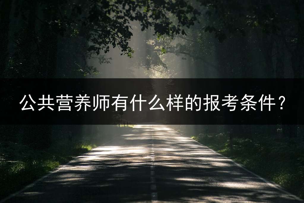 公共营养师有什么样的报考条件？