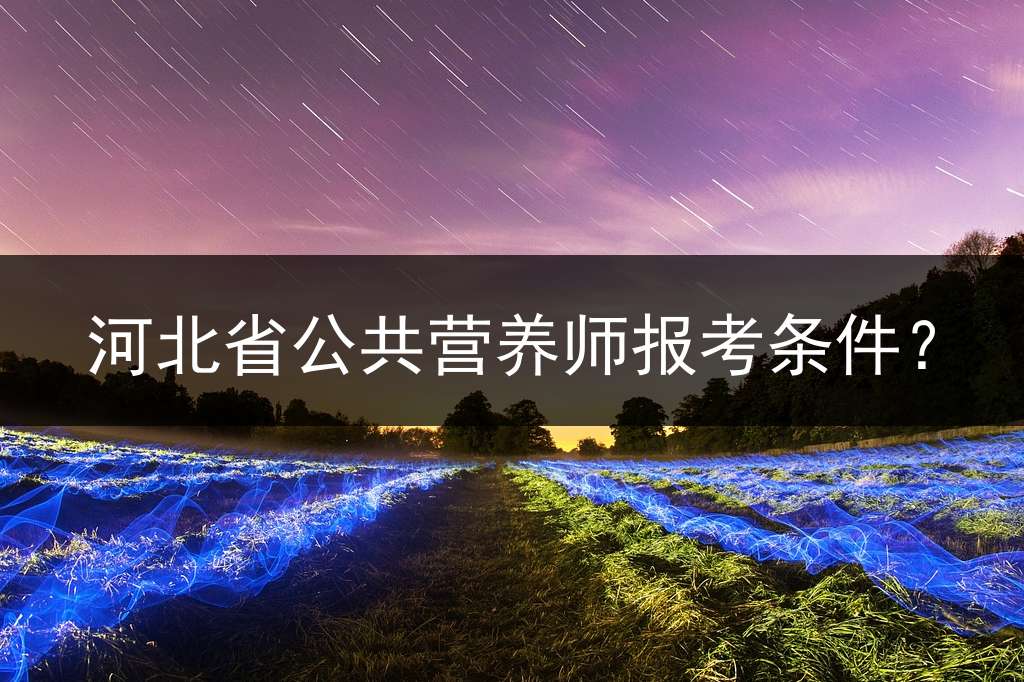 河北省公共营养师报考条件？