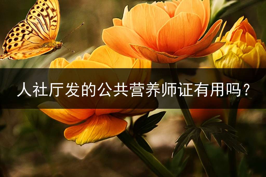 人社厅发的公共营养师证有用吗？