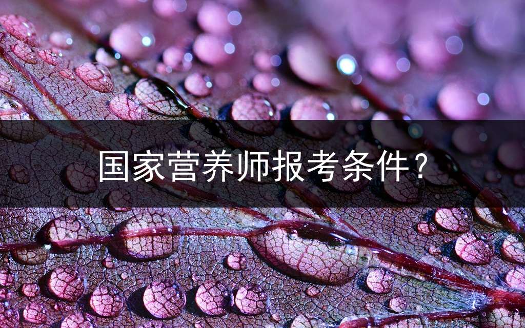 国家营养师报考条件？