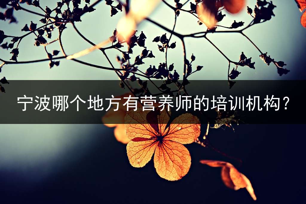 宁波哪个地方有营养师的培训机构？