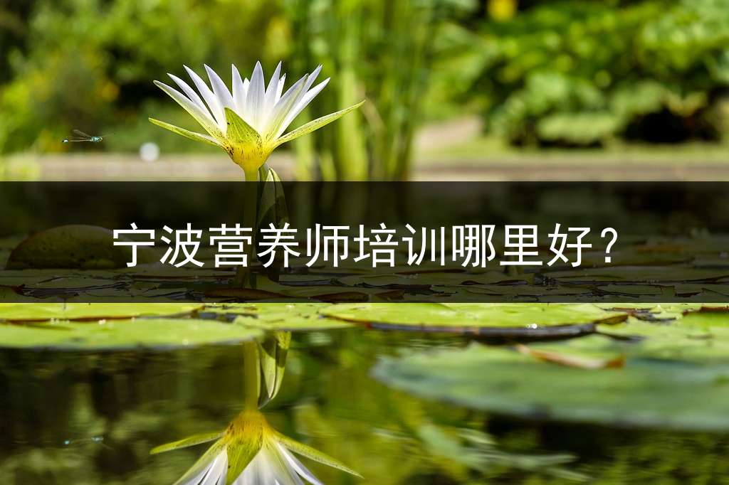 宁波营养师培训哪里好？
