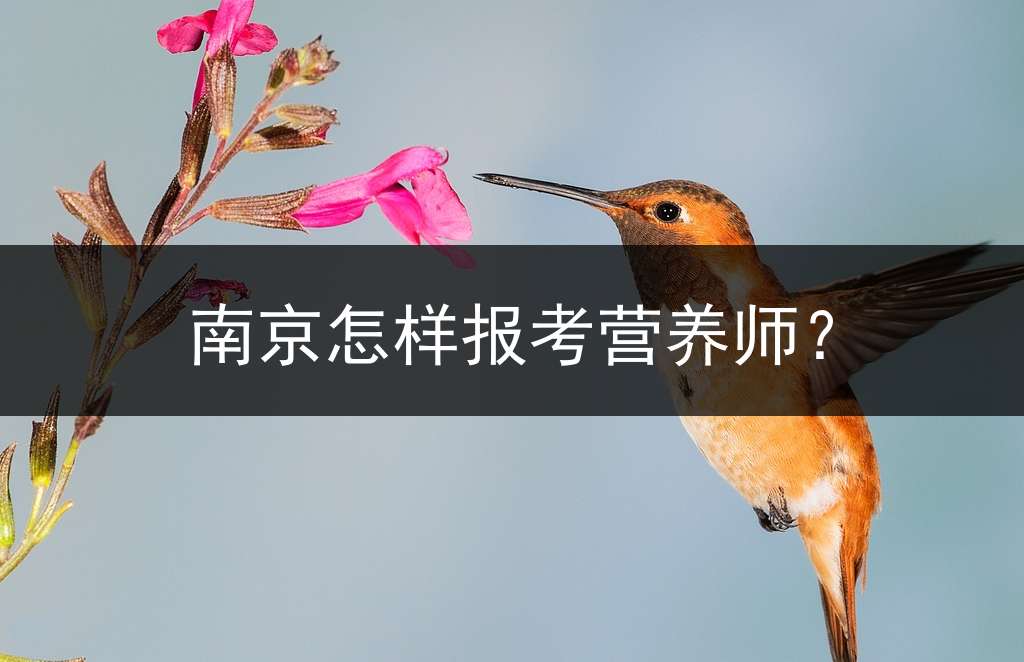 南京怎样报考营养师？