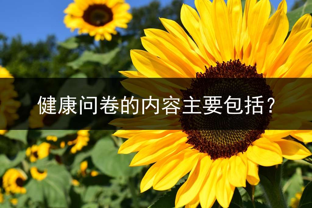 健康问卷的内容主要包括？