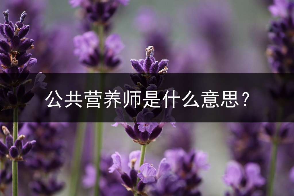 公共营养师是什么意思？