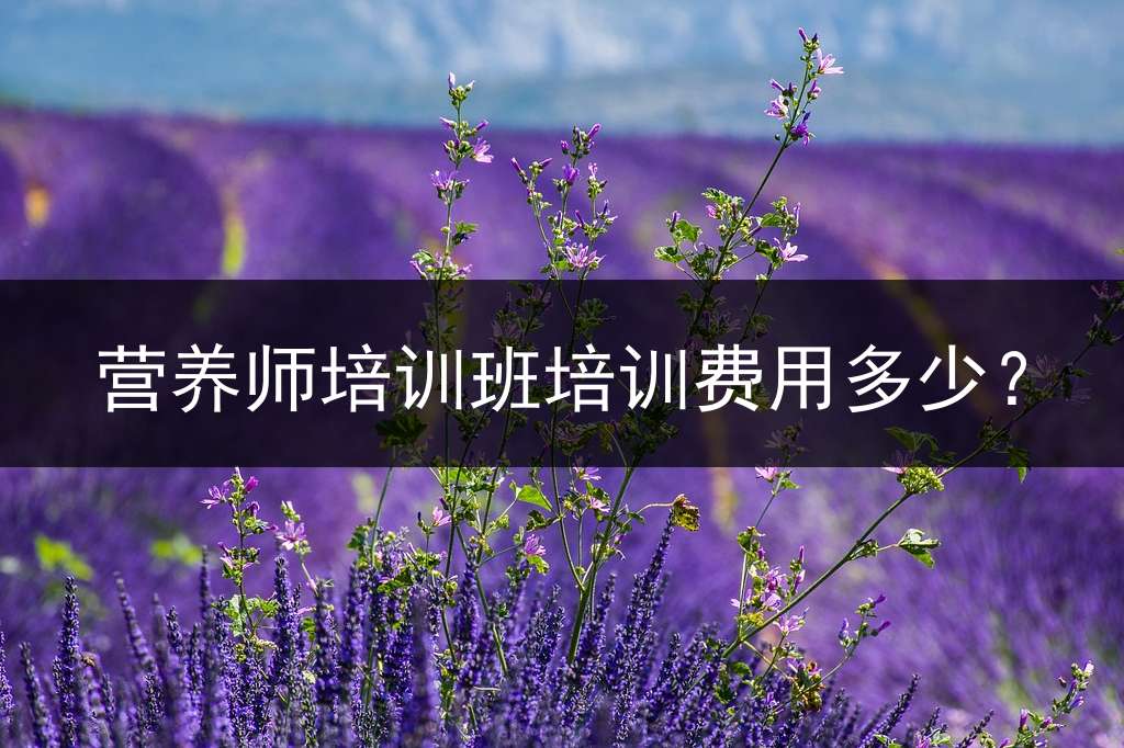 营养师培训班培训费用多少？