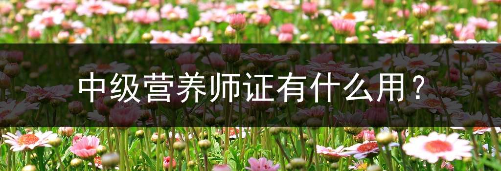 中级营养师证有什么用？