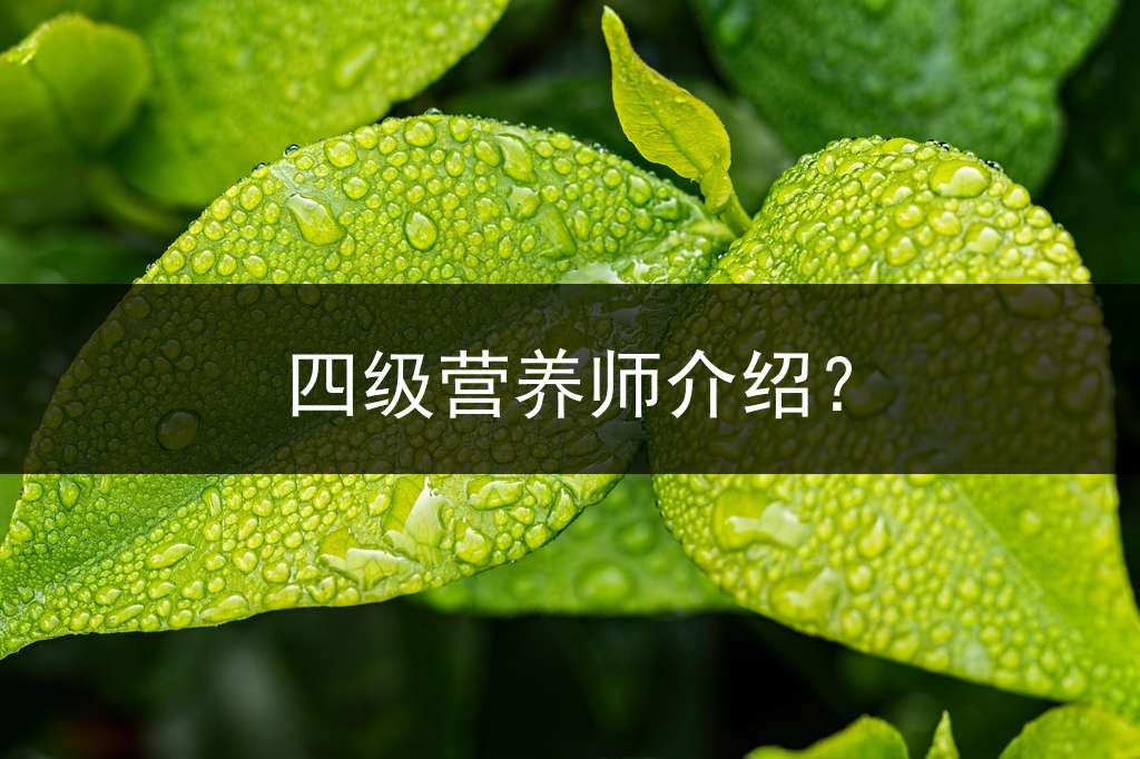 四级营养师介绍？