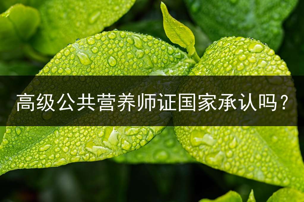 高级公共营养师证国家承认吗？