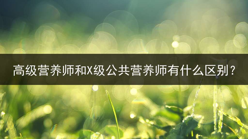 高级营养师和X级公共营养师有什么区别？