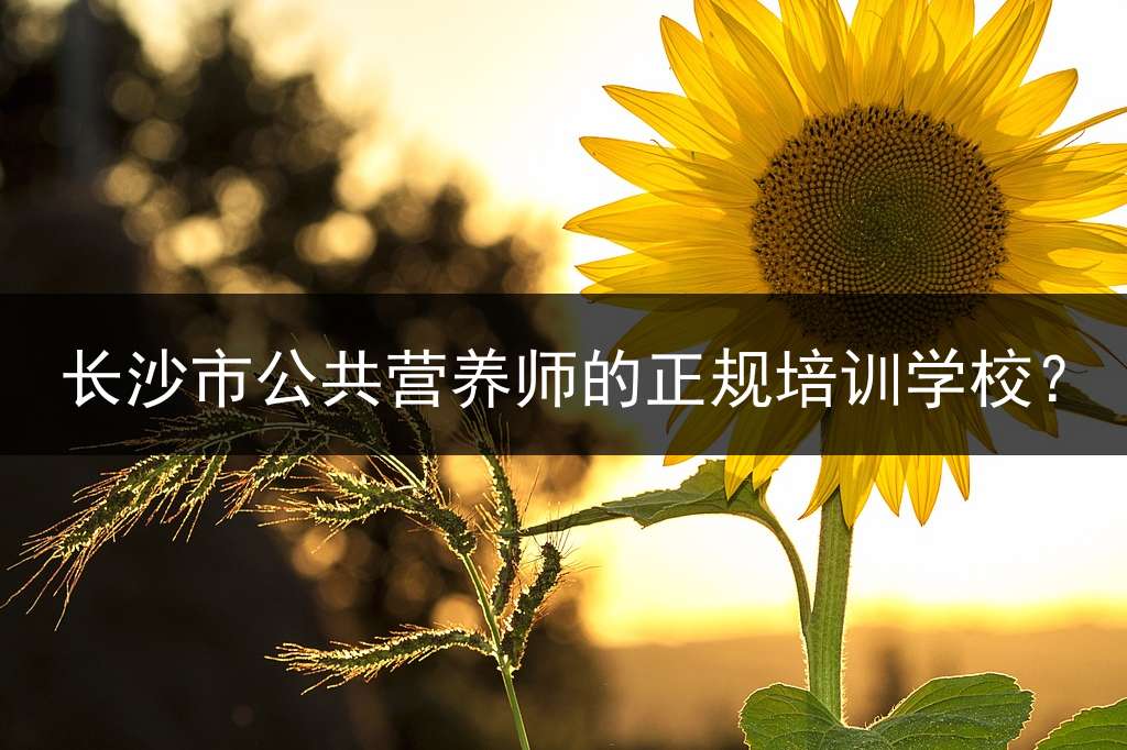 长沙市公共营养师的正规培训学校？