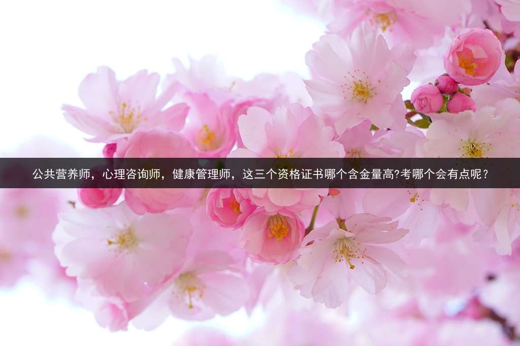 公共营养师，心理咨询师，健康管理师，这三个资格证书哪个含金量高?考哪个会有点呢？