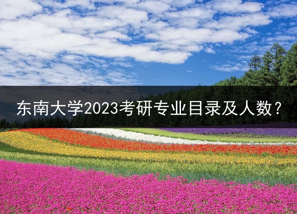 东南大学2023考研专业目录及人数？