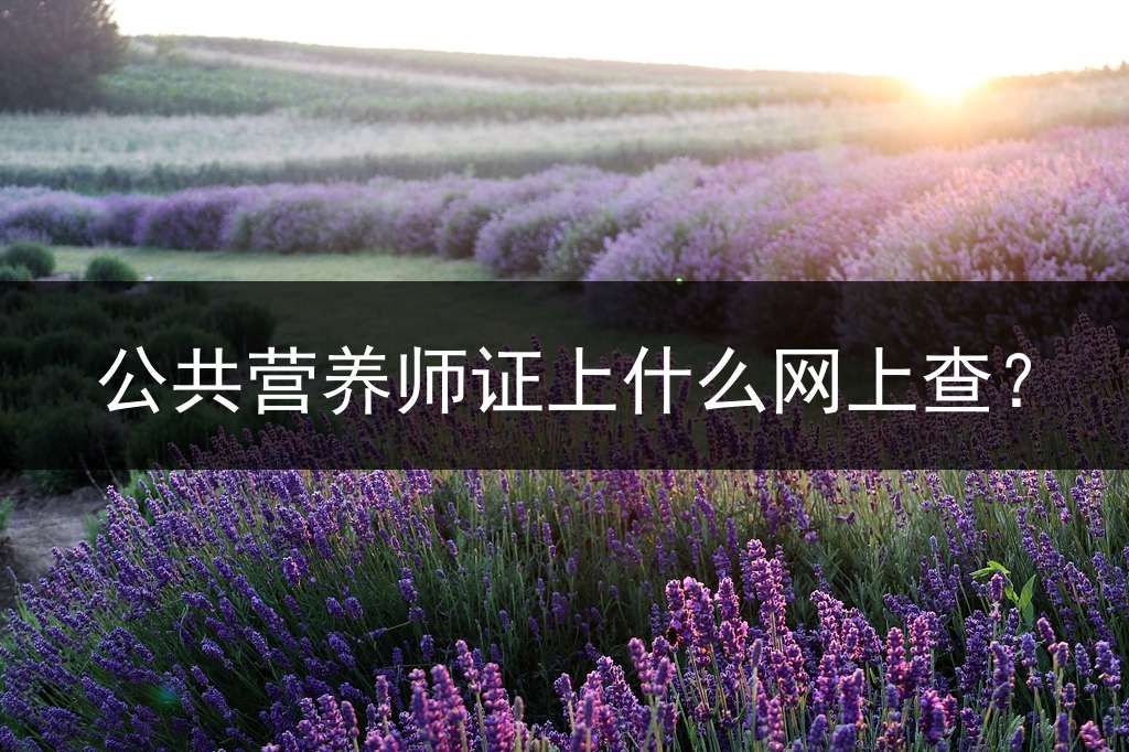 公共营养师证上什么网上查？