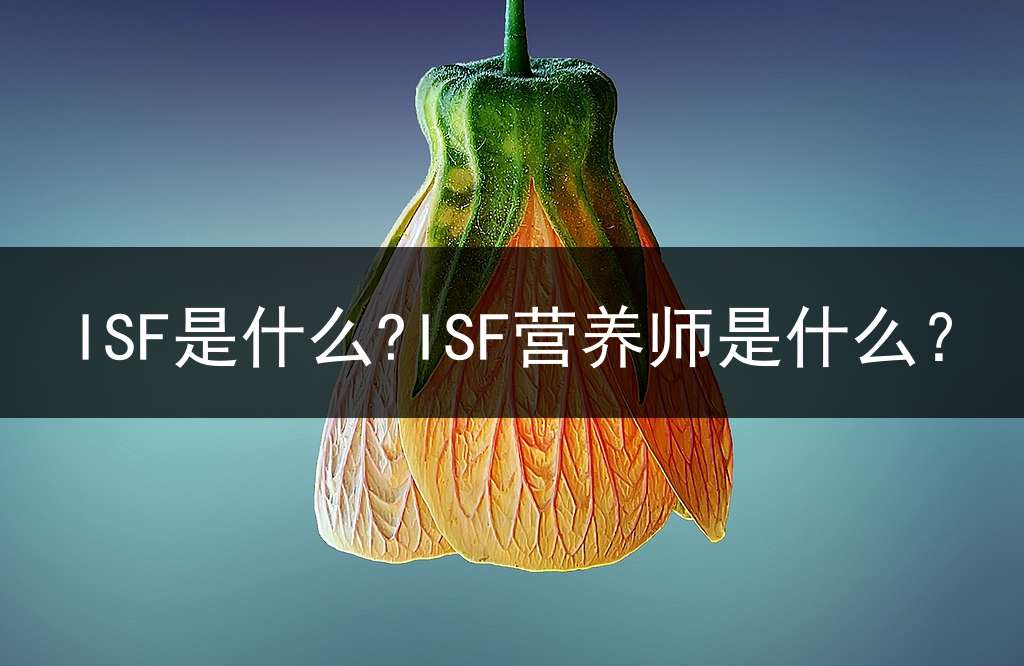 ISF是什么?ISF营养师是什么？