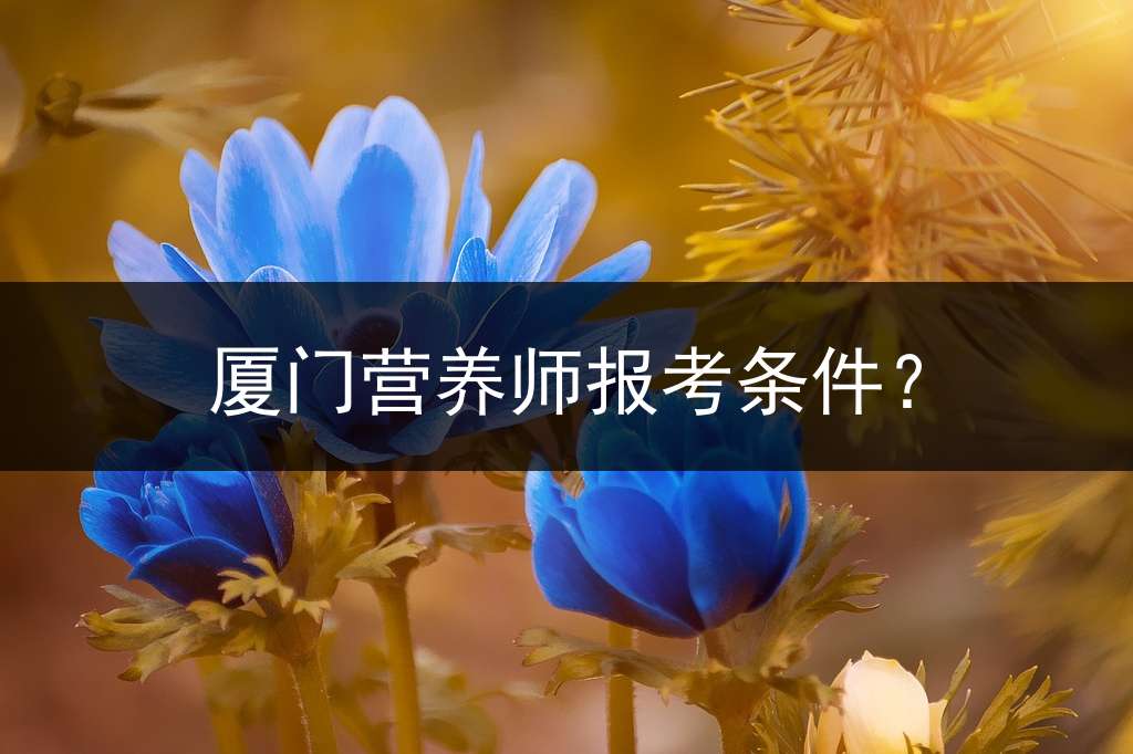 厦门营养师报考条件？