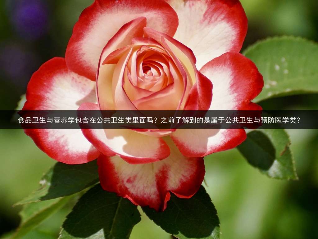 食品卫生与营养学包含在公共卫生类里面吗？之前了解到的是属于公共卫生与预防医学类？