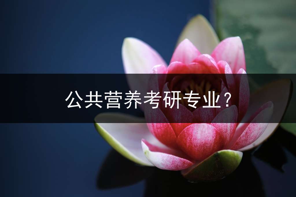 公共营养考研专业？