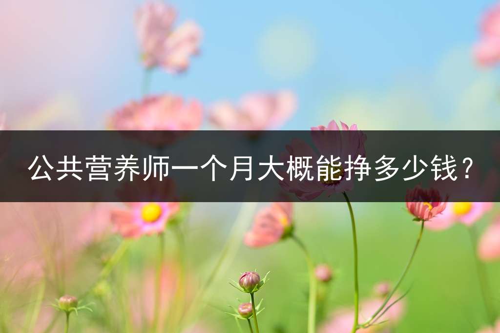 公共营养师一个月大概能挣多少钱？