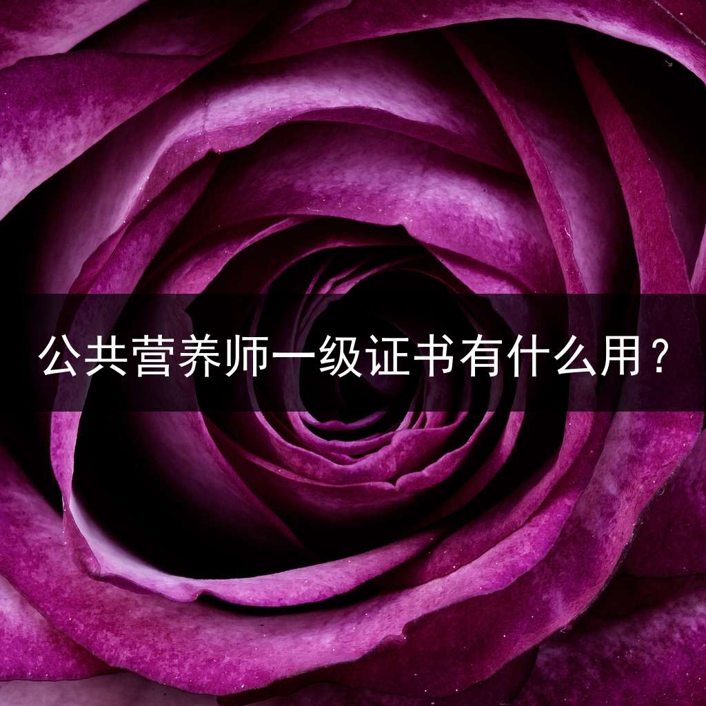 公共营养师一级证书有什么用？