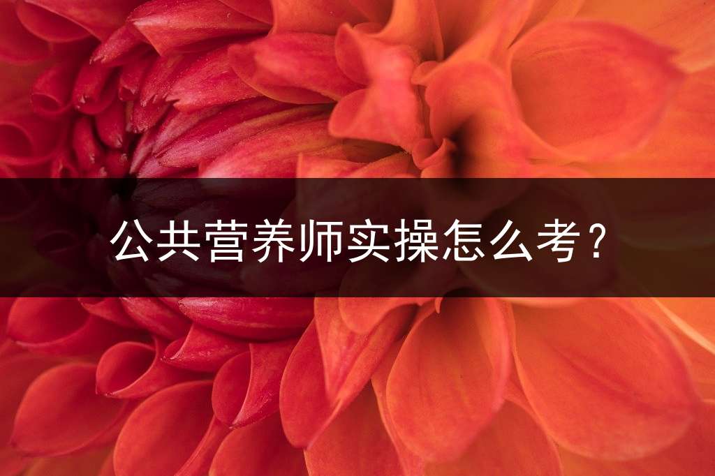 公共营养师实操怎么考？