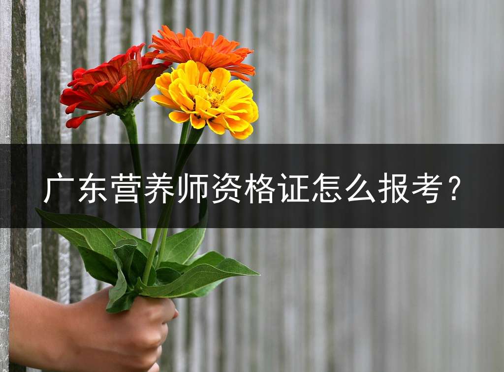 广东营养师资格证怎么报考？