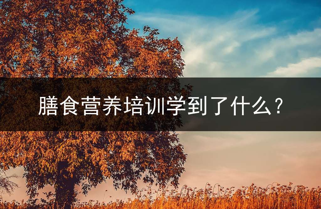 膳食营养培训学到了什么？