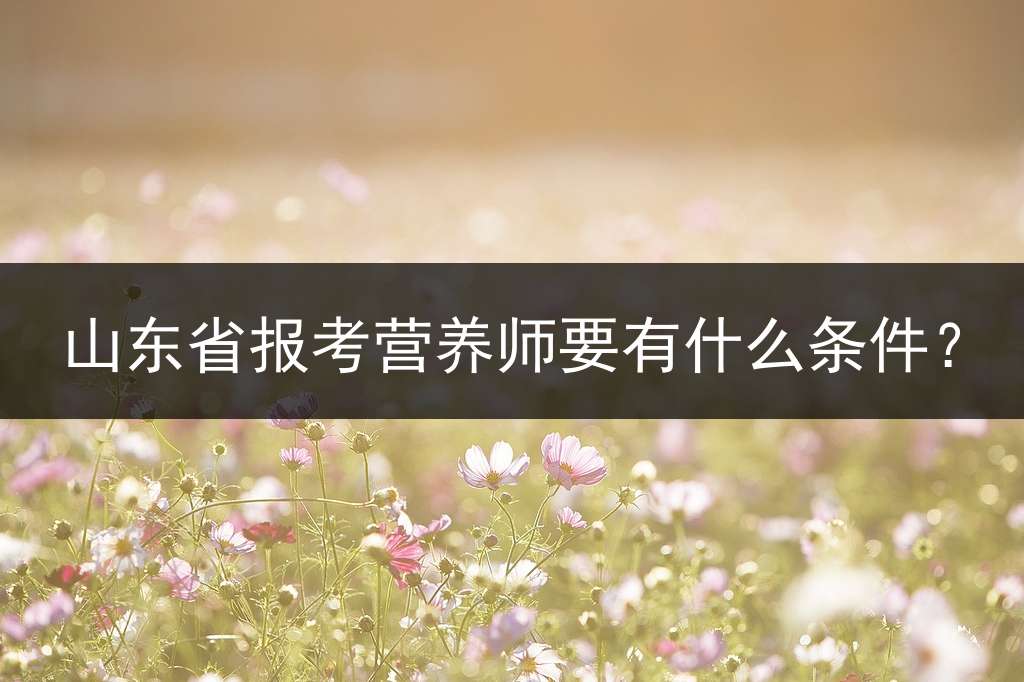 山东省报考营养师要有什么条件？