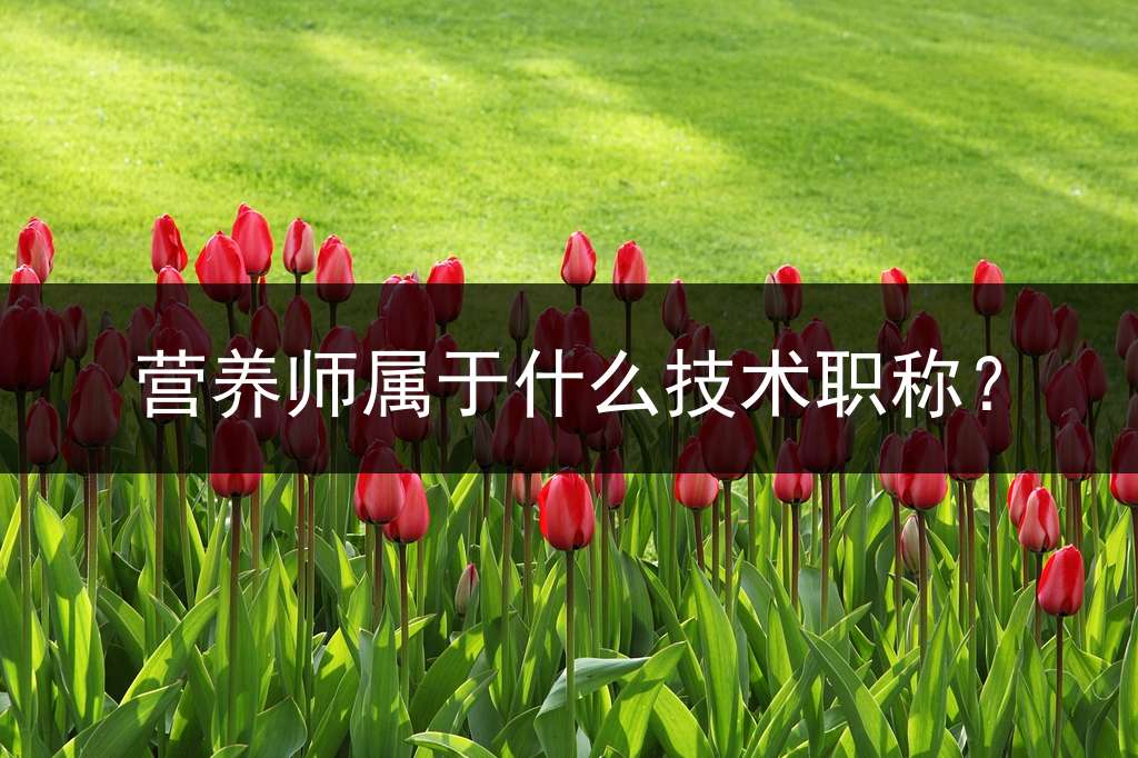 营养师属于什么技术职称？